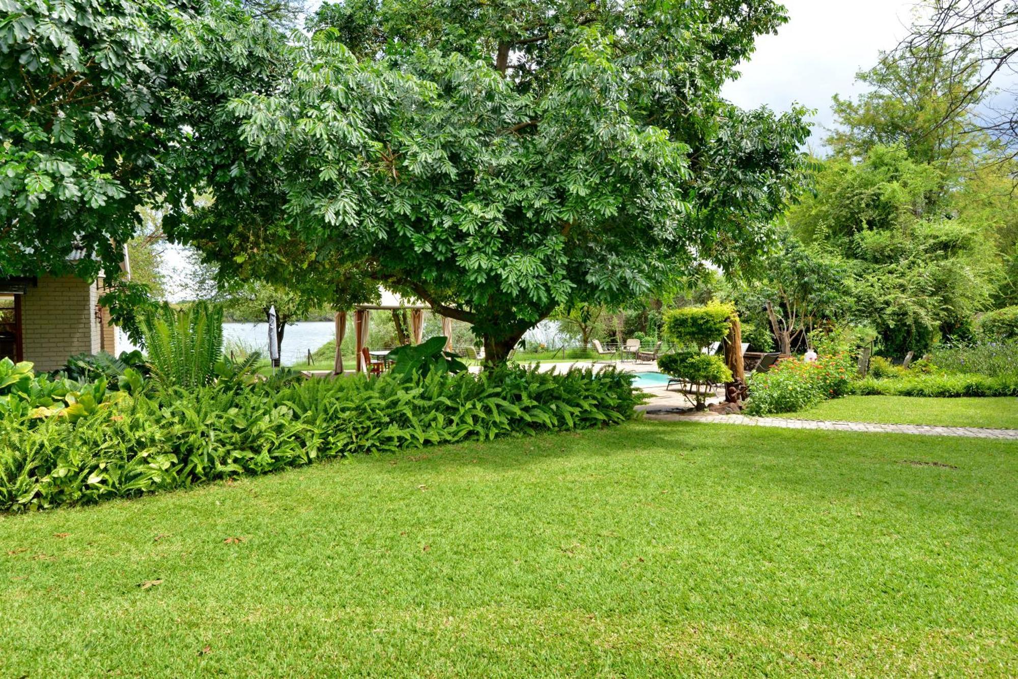 River View Lodge Kasane Oda fotoğraf